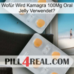 Wofür Wird Kamagra 100Mg Oral Jelly Verwendet 25